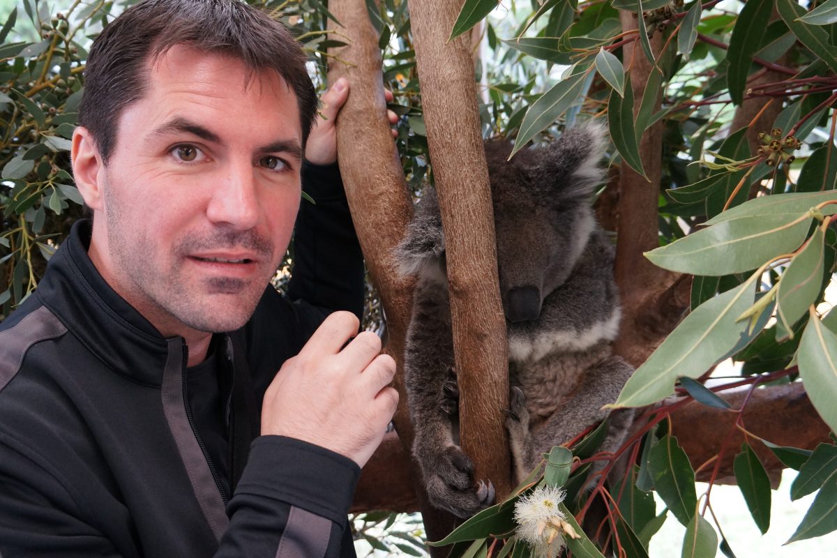 Un jour, j&rsquo;ai vu un Koala.