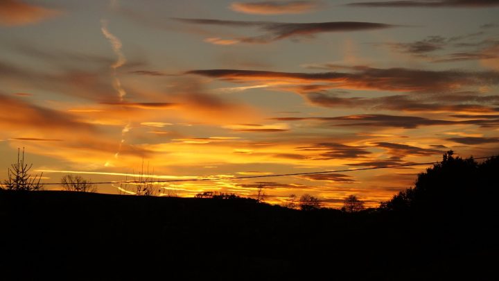 Childhood loneliness