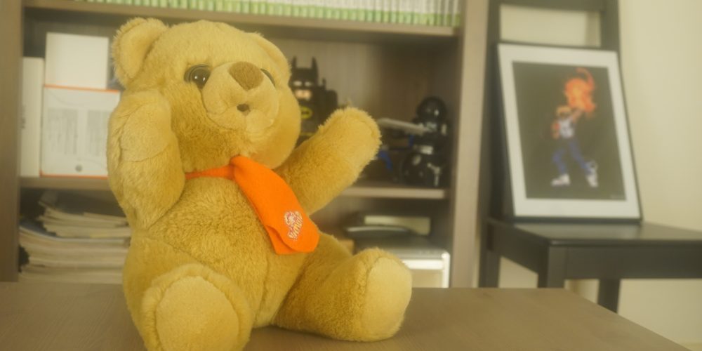 Les oiseaux de ma vie