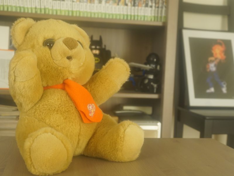 Les oiseaux de ma vie